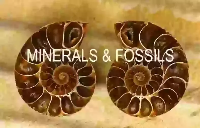 Minerals & Fossils